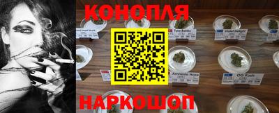 мдпв Гусь-Хрустальный