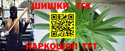мдпв Гусь-Хрустальный