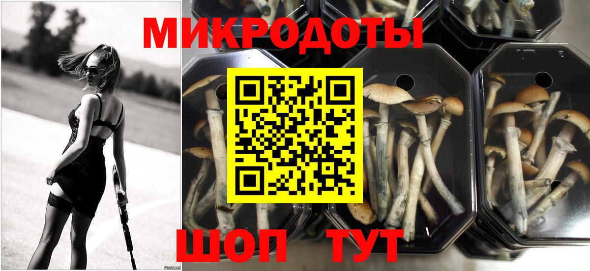 где купить наркоту  Галлюциногенные грибы GOLDEN TEACHER  Вход с VPN  Евпатория 